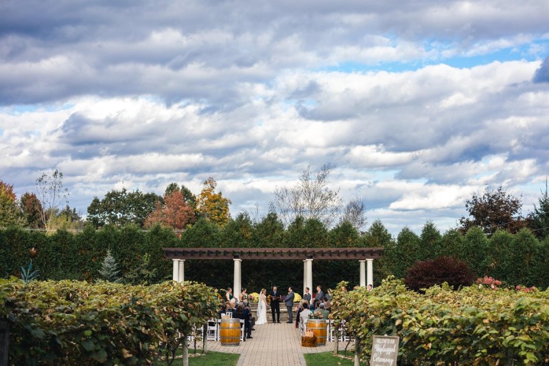 Among the Vines: Birch Wood Vineyards by Wedgewood Weddings