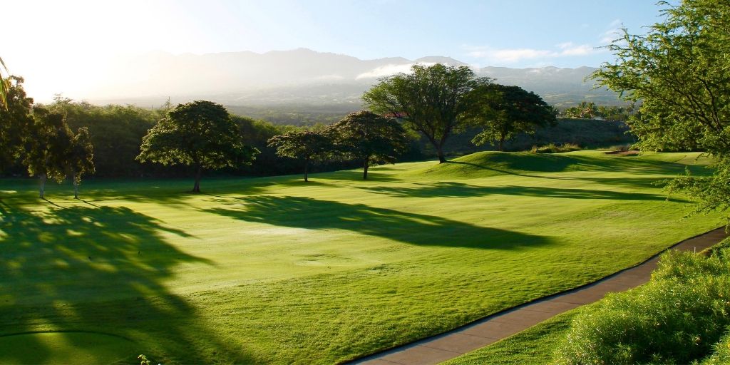 Fairways Hit Is An Incomplete Statistic - Track Your Tee Shots This Way Instead