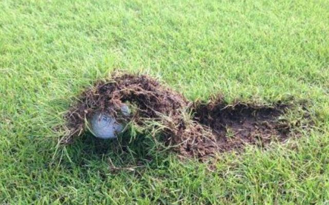 deep divot