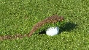 golf terms glossary
