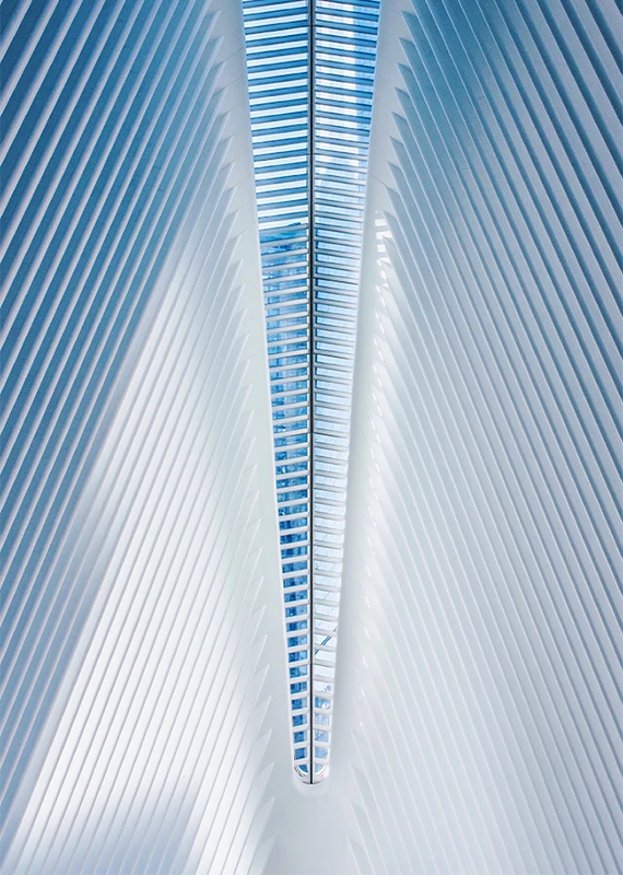 A view from within the Oculus Pavilion, showing the intricate steel rib structure.