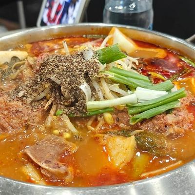 갤러리 이미지 2