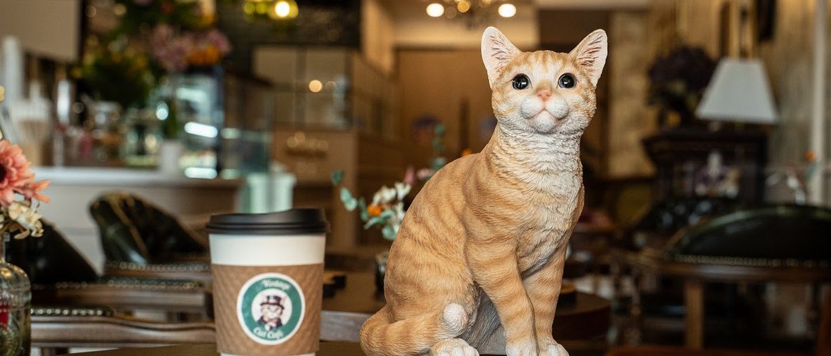Vintage Cat Cafe Toronto