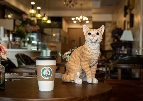 Vintage Cat Cafe Toronto
