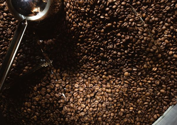 Ethica Coffee Roasters