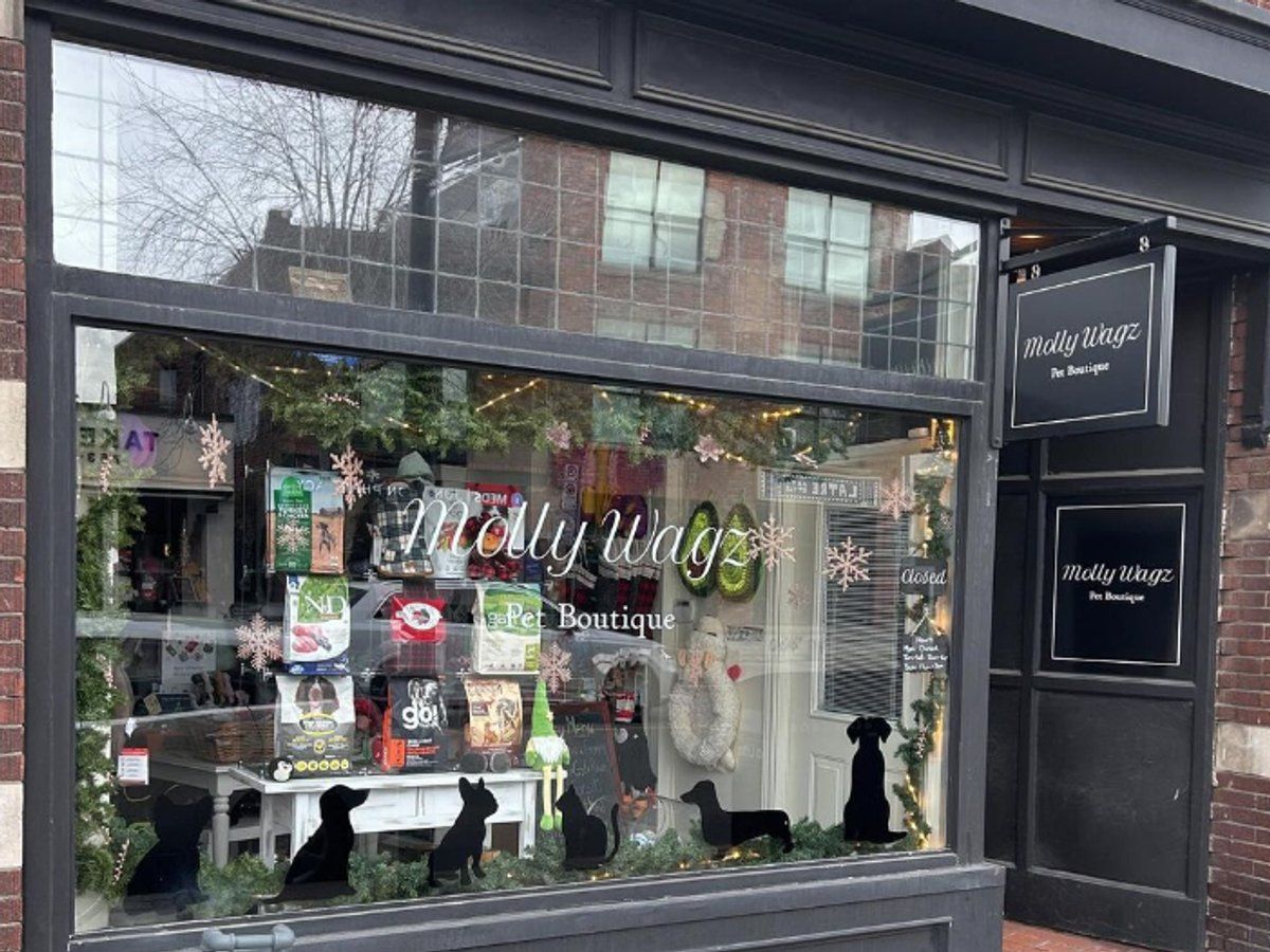 MollyWagz Pet Boutique