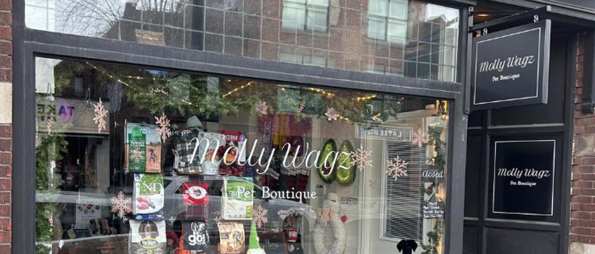 MollyWagz Pet Boutique