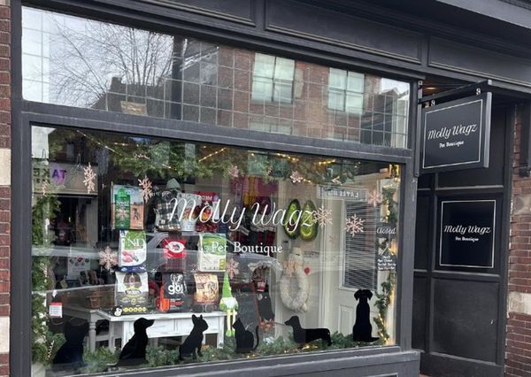 MollyWagz Pet Boutique