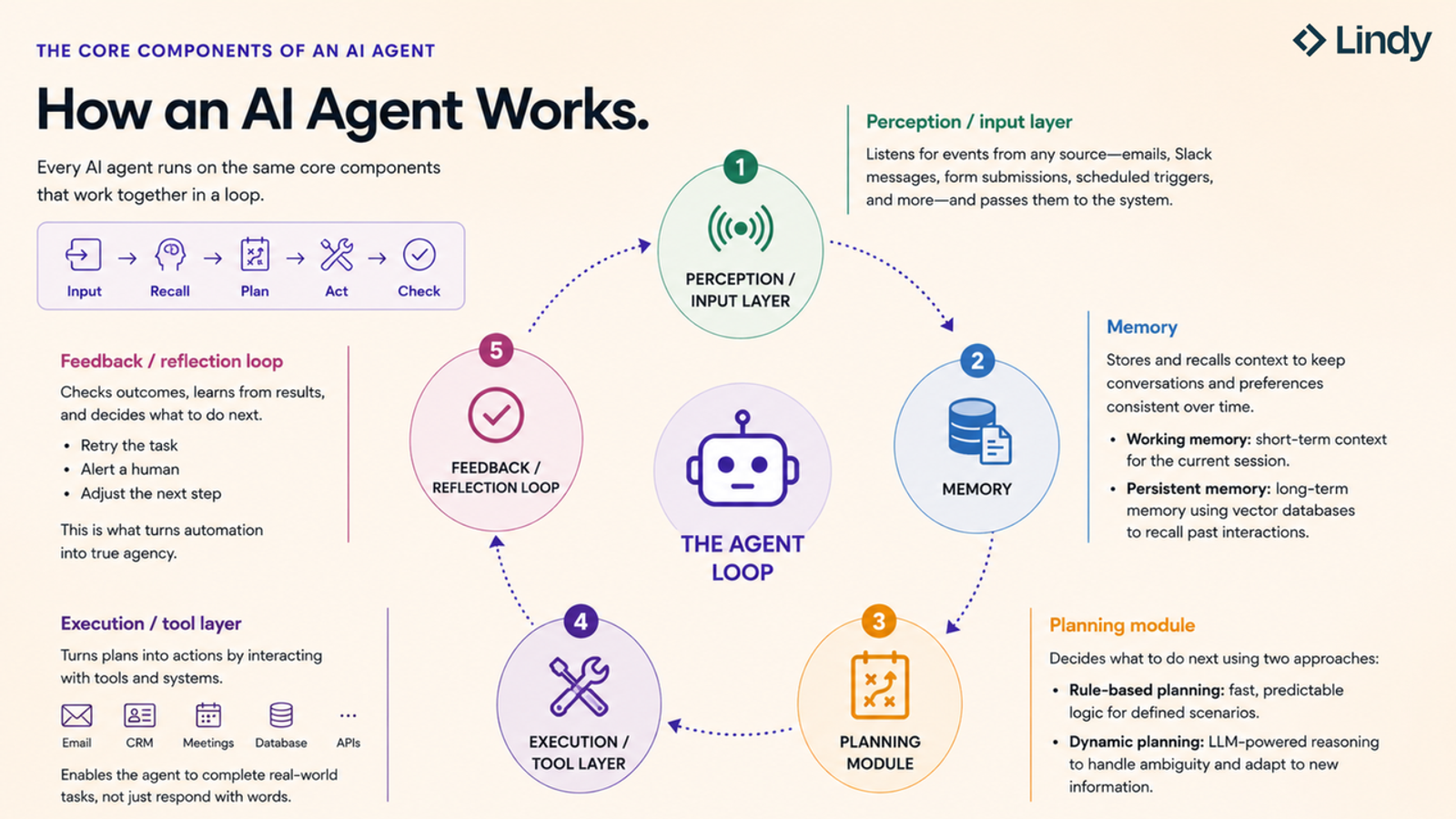 Infographic explaining how an AI agent works, highlighting the Lindy AI memory component for storing long-term user context.