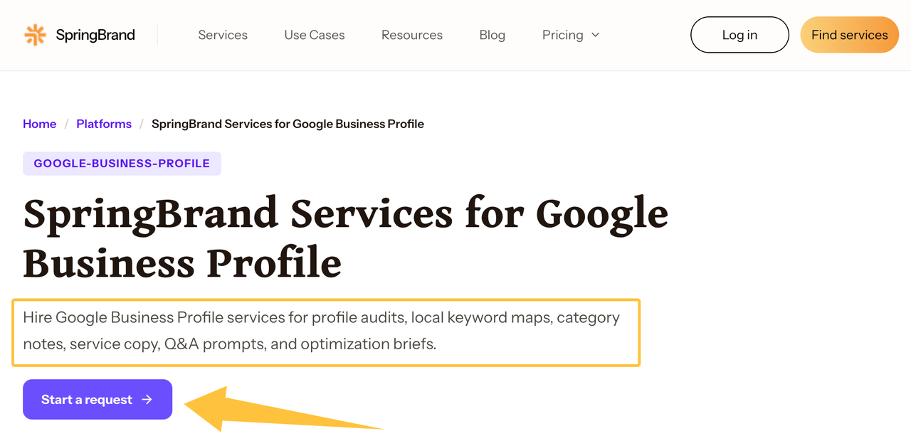 Screenshot highlighting professional Google Business Profile services such as audits and keyword mapping for local SEO.