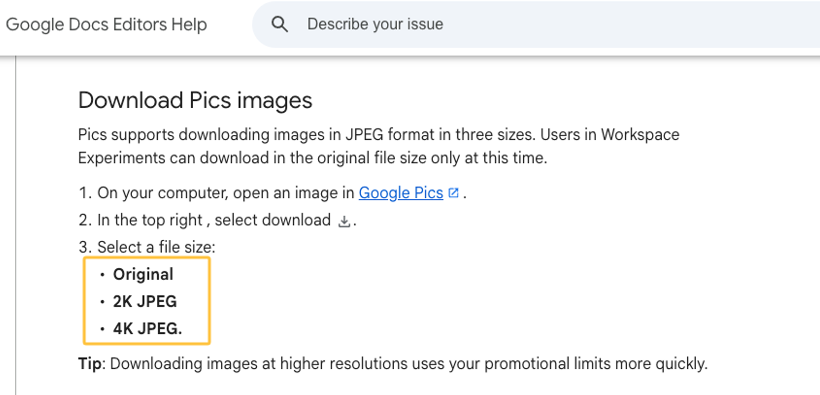 Download options and resolution settings explained for Google Pics small business users in Help docs.