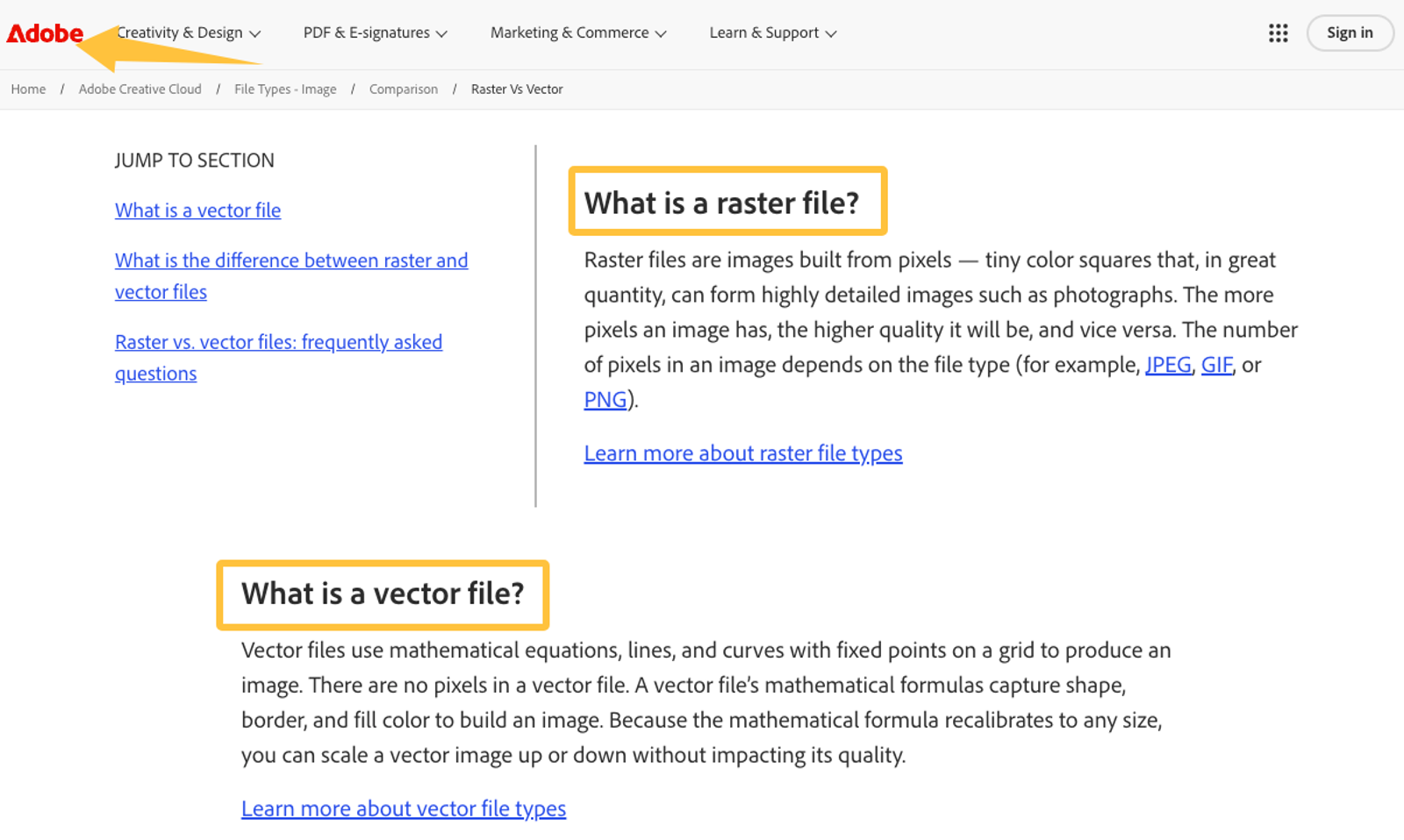 Understanding vector and raster files is crucial for professional brand identity design services.