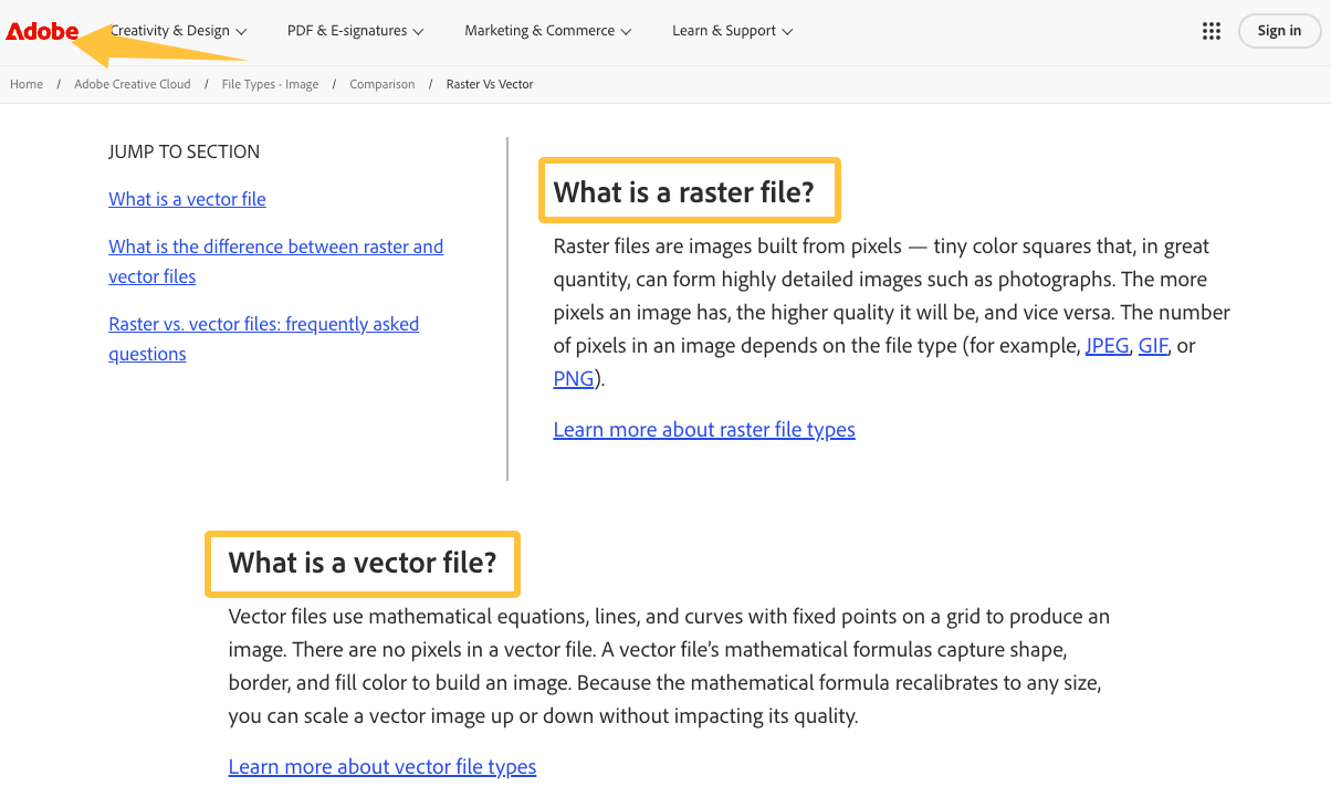 Understanding vector and raster files is crucial for professional brand identity design services.