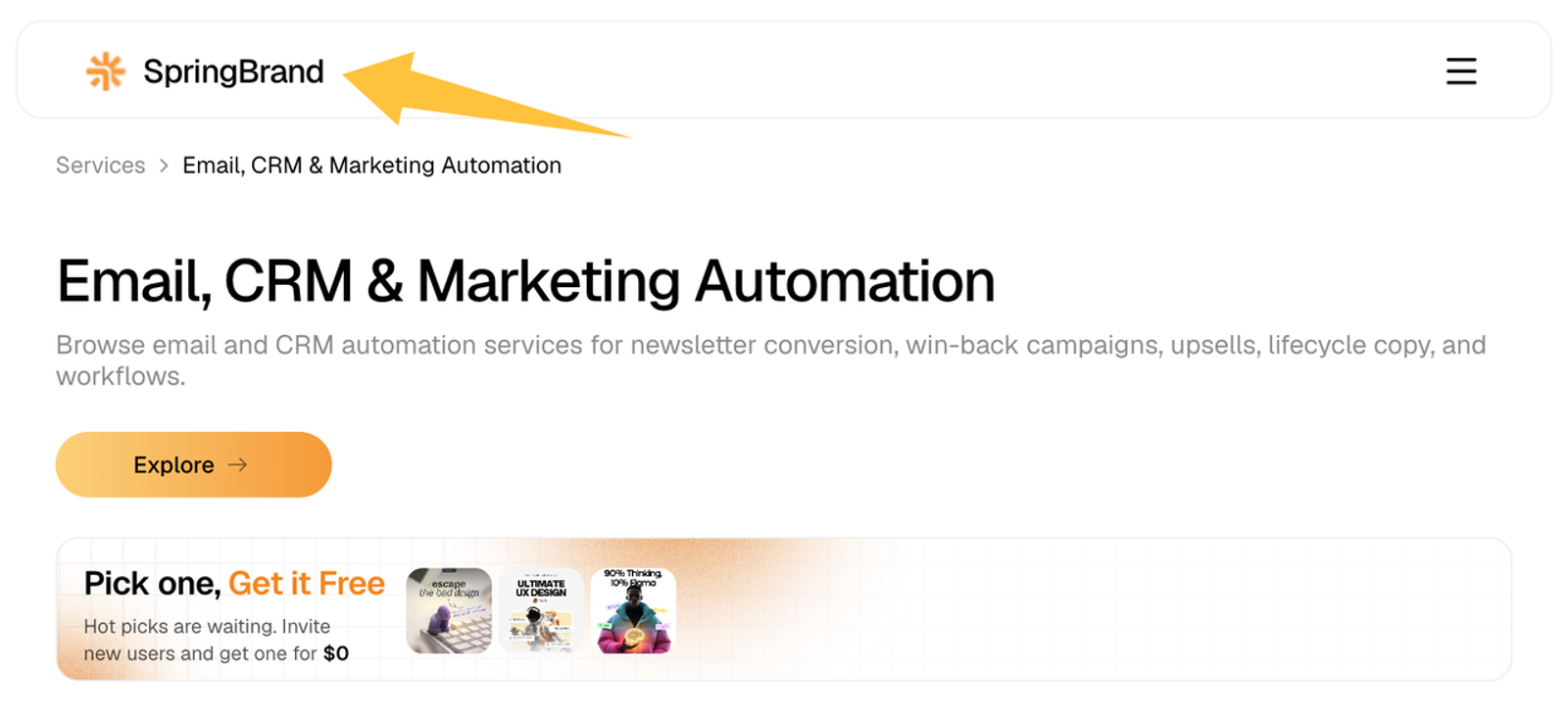 Homepage section for SpringBrand showing services including email, CRM, and document workflow automation for businesses.