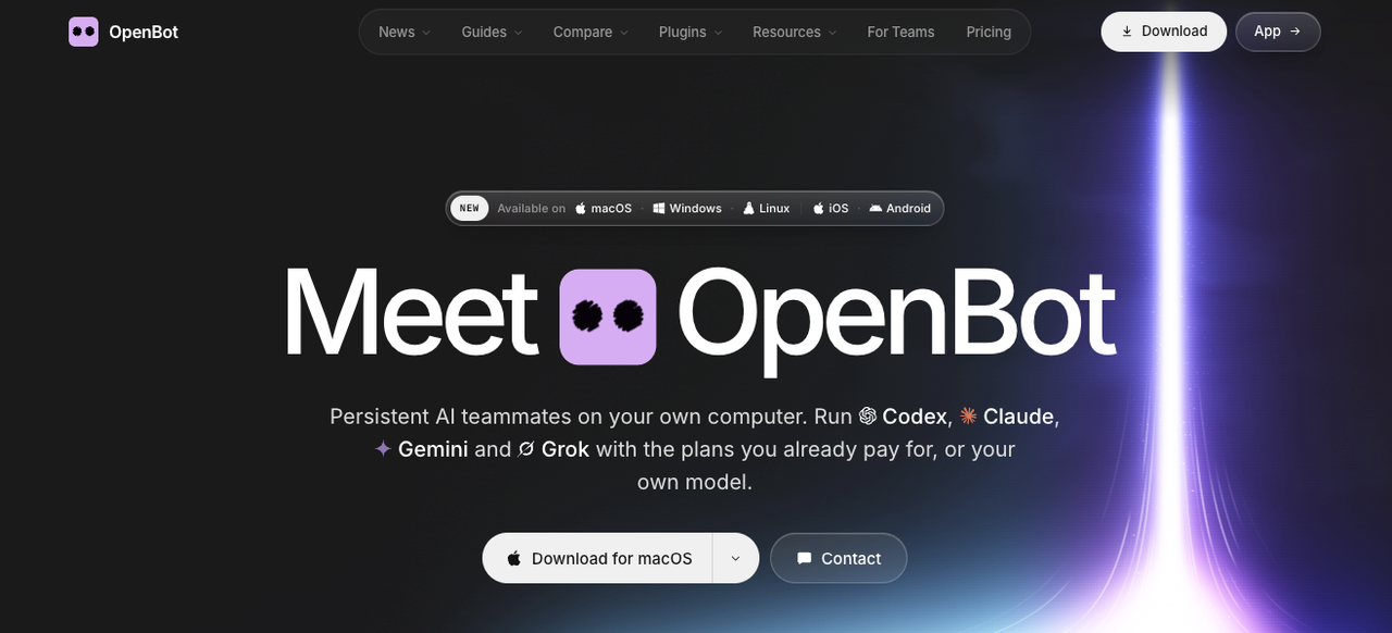 OpenBot review homepage highlighting multi model AI teammates available for macOS, Windows, Linux, and mobile.