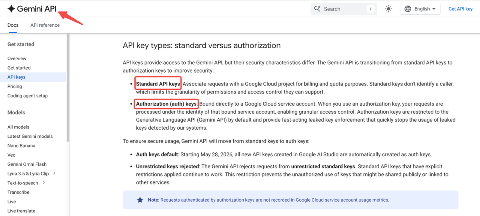 Secure your API integrations within a gemini 4 argon workflow using standard and authorization keys.