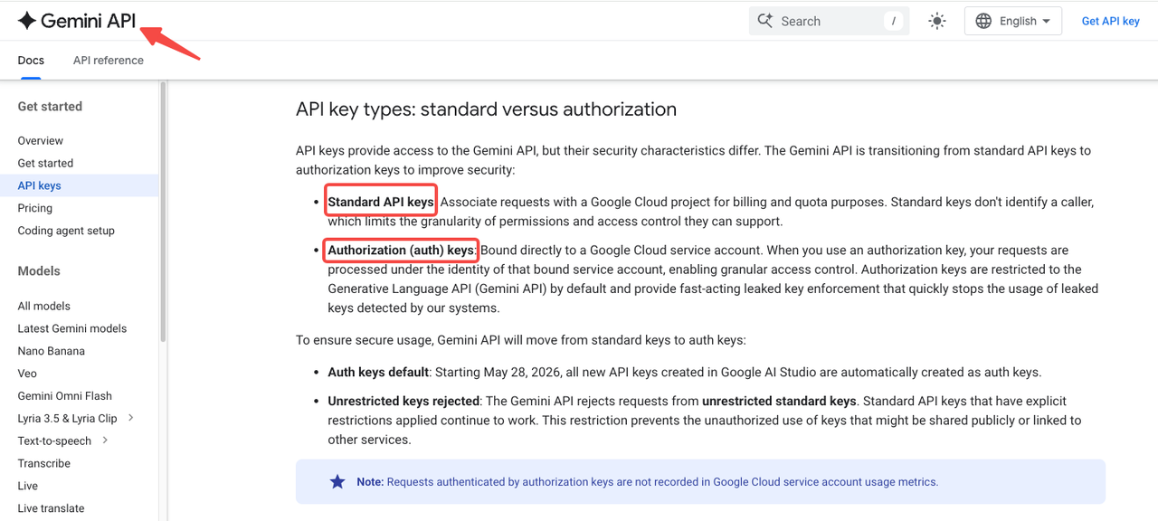 Secure your API integrations within a gemini 4 argon workflow using standard and authorization keys.
