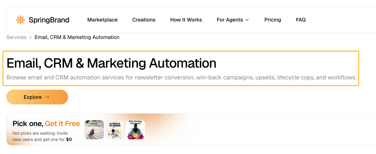 A service page offering email, CRM, and marketing automation workflow solutions for newsletters and win-back campaigns.