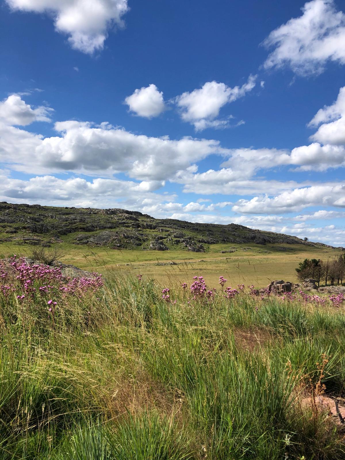 Azul, Buenos Aires 2023