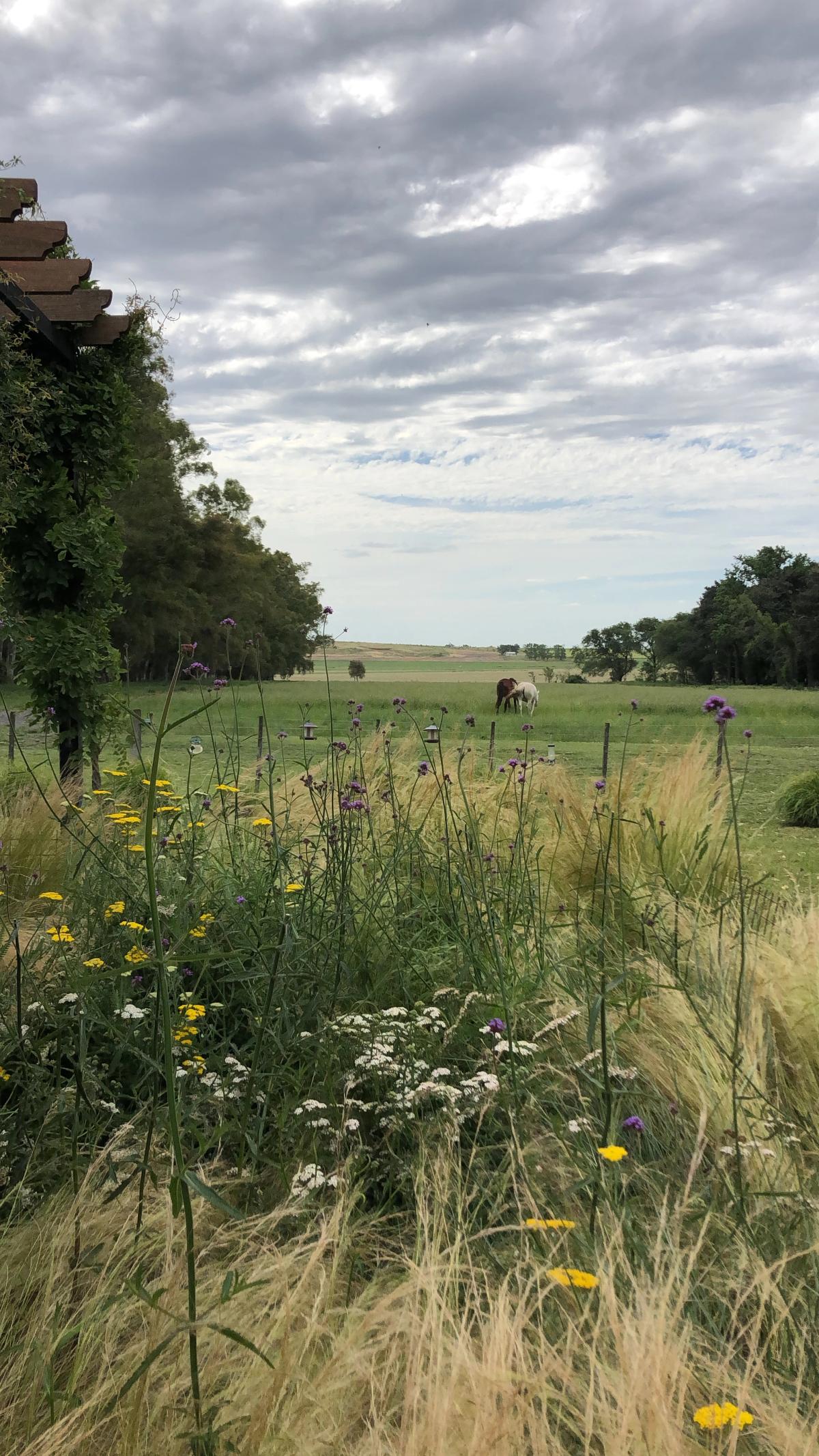 Azul, Buenos Aires 2018