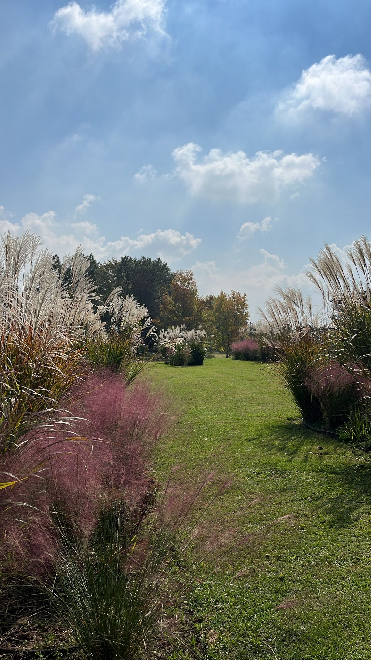 Gral Rodriguez, Buenos Aires 2022