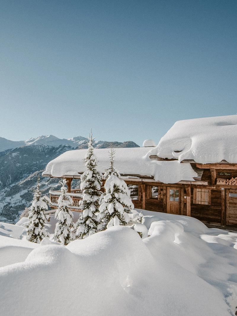 Chalet La Vigne