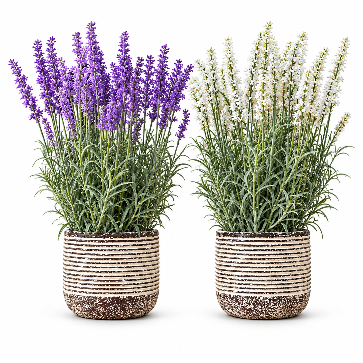 Lavender and Ivory Garden Pair