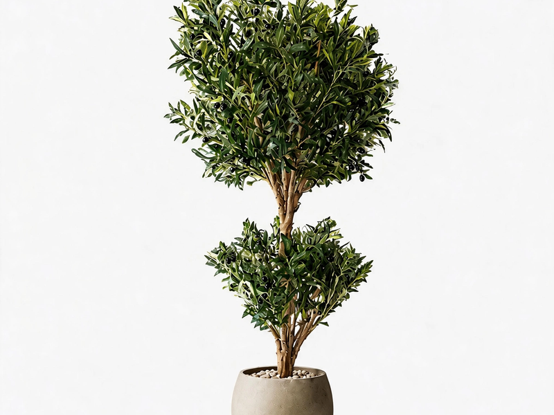 Tiered Olive Topiary in Detail