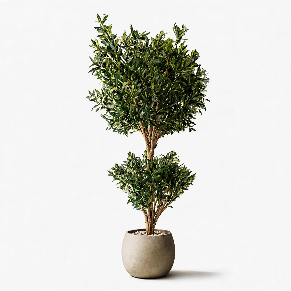 Tiered Olive Topiary