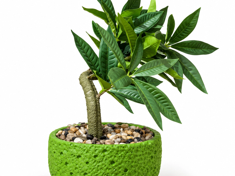 Quality and Design