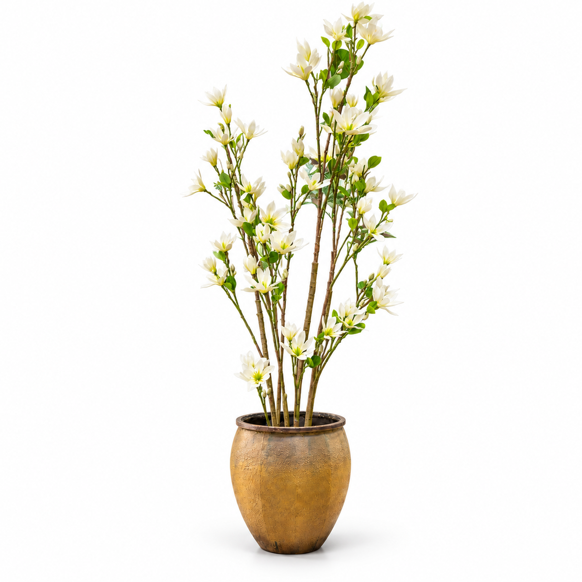 Ivory Magnolia Blossom Tree