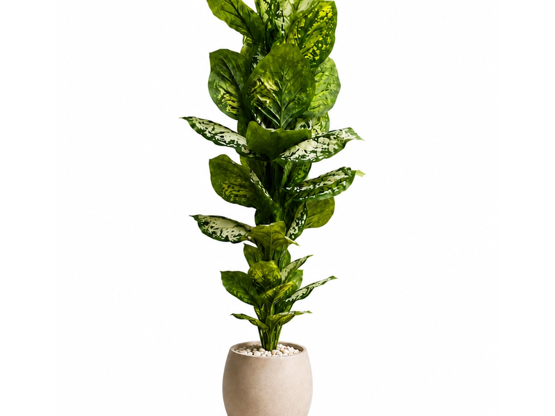 Glossy Laurel Tree in Detail
