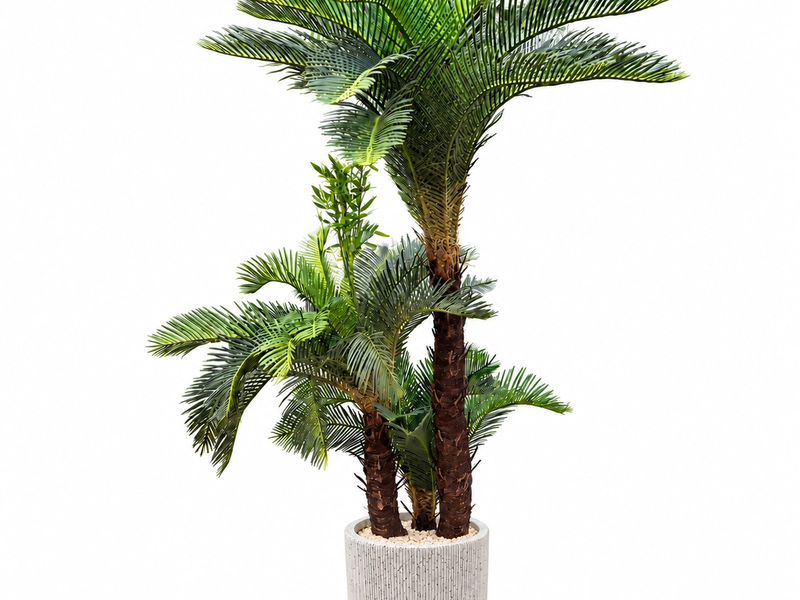 Sculptural Sago Palm in Detail