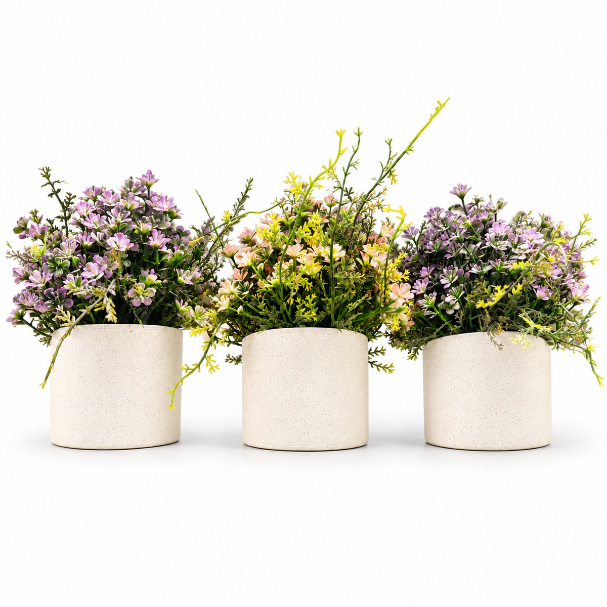 Pastel Meadow Bloom Trio
