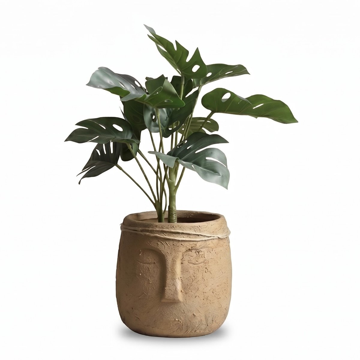 Silent Face Planter