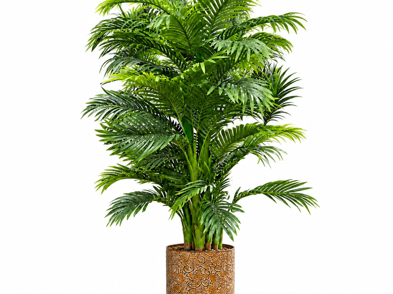 Gilded Areca Palm in Detail
