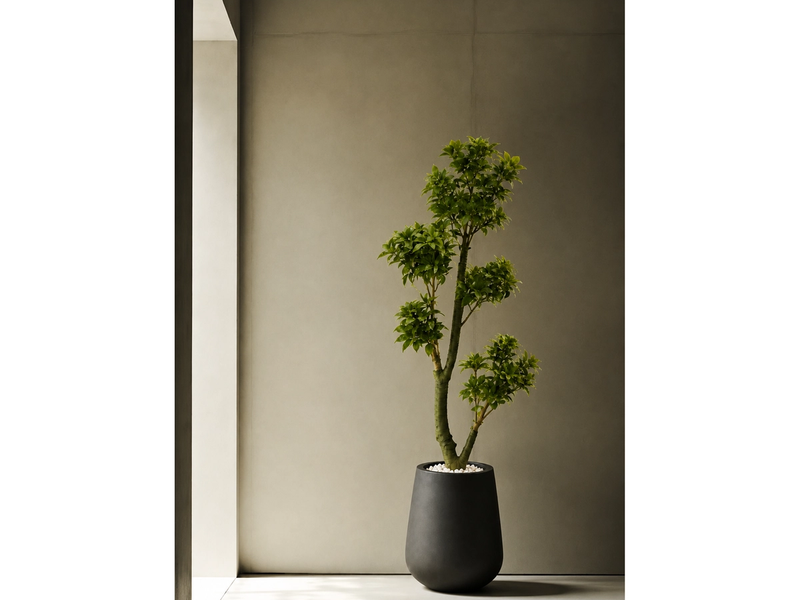 Designed for Modern Interiors