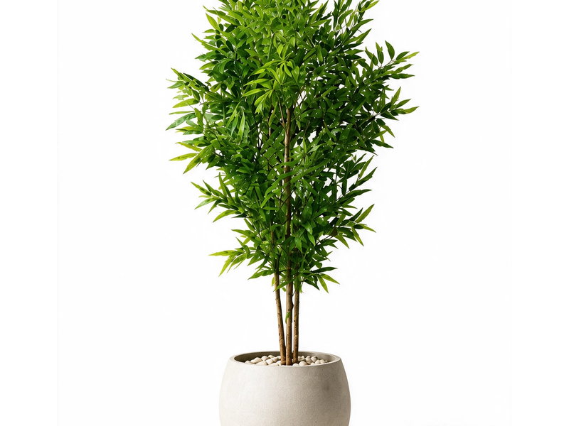 Lush Bamboo Cluster in Detail