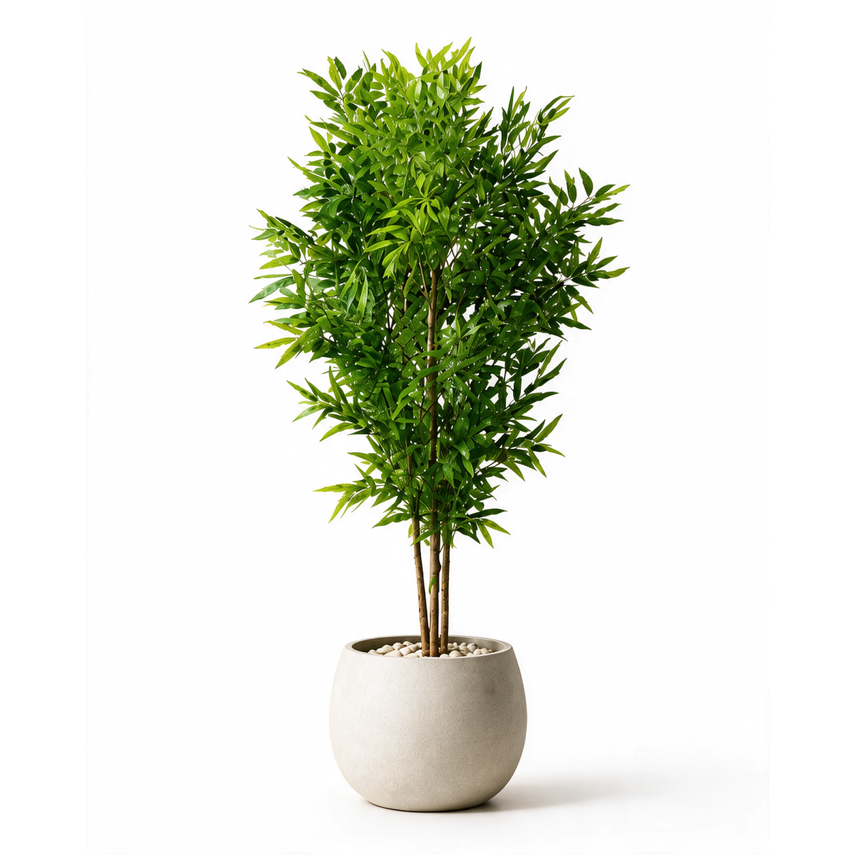 Lush Bamboo Cluster