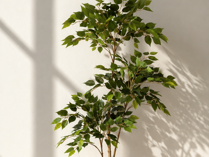 Designed for Modern Interiors