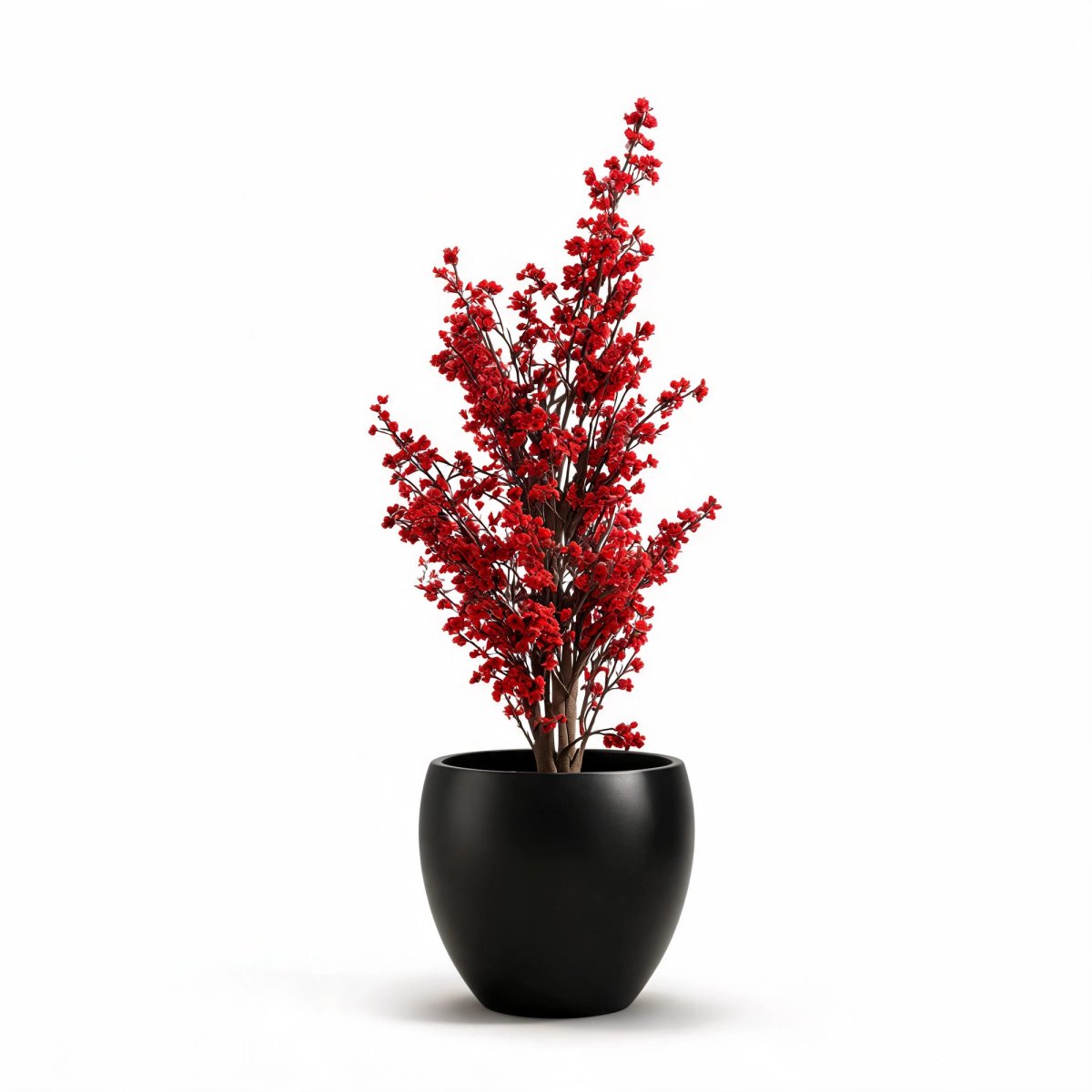 Scarlet Blossom Tree