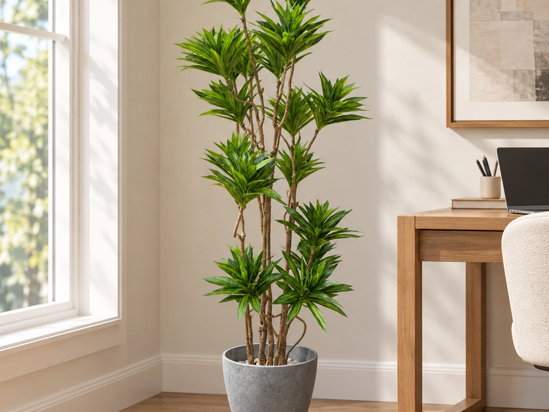 Designed for Modern Interiors
