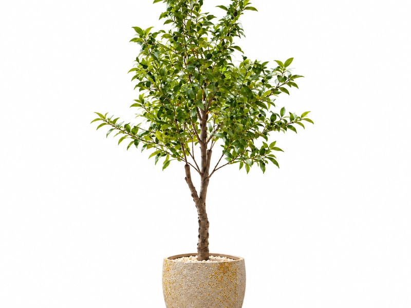 Golden Grove Leaf Tree in Detail