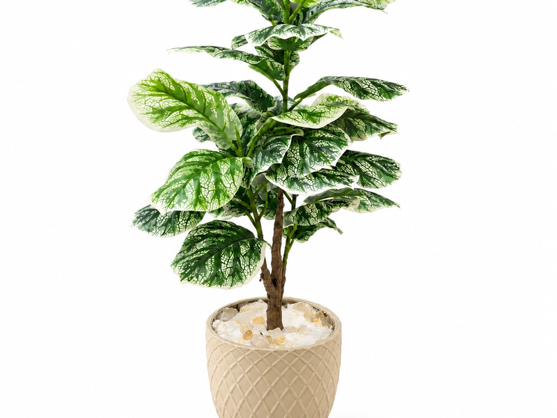 Marbled Leaf Statement Plant in Detail