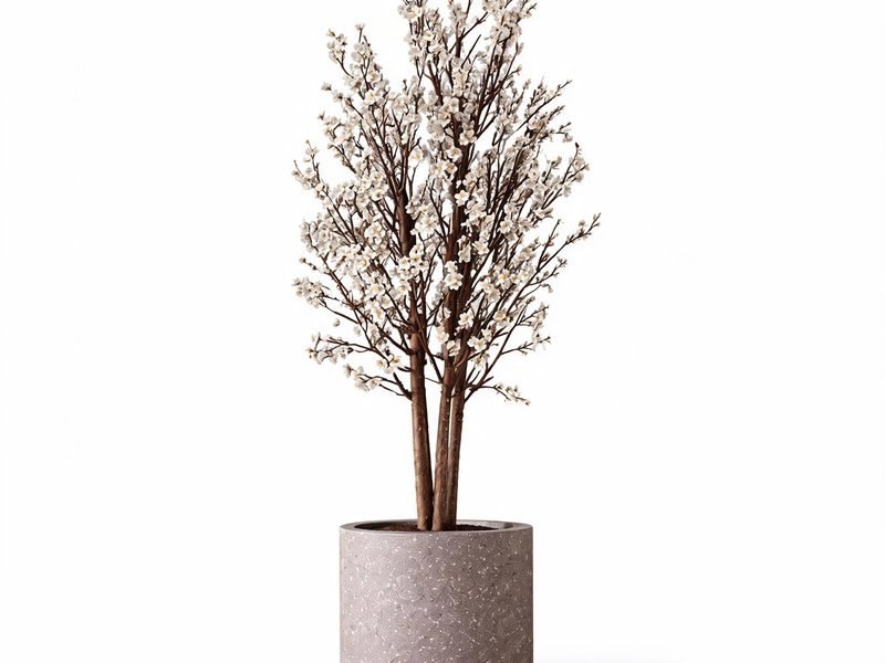 Silver Bloom Tree in Detail