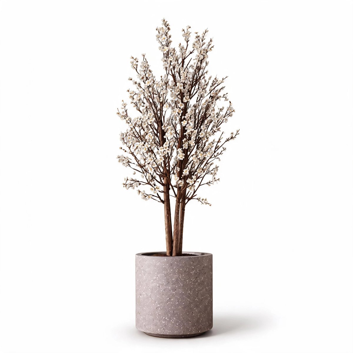 Silver Bloom Tree