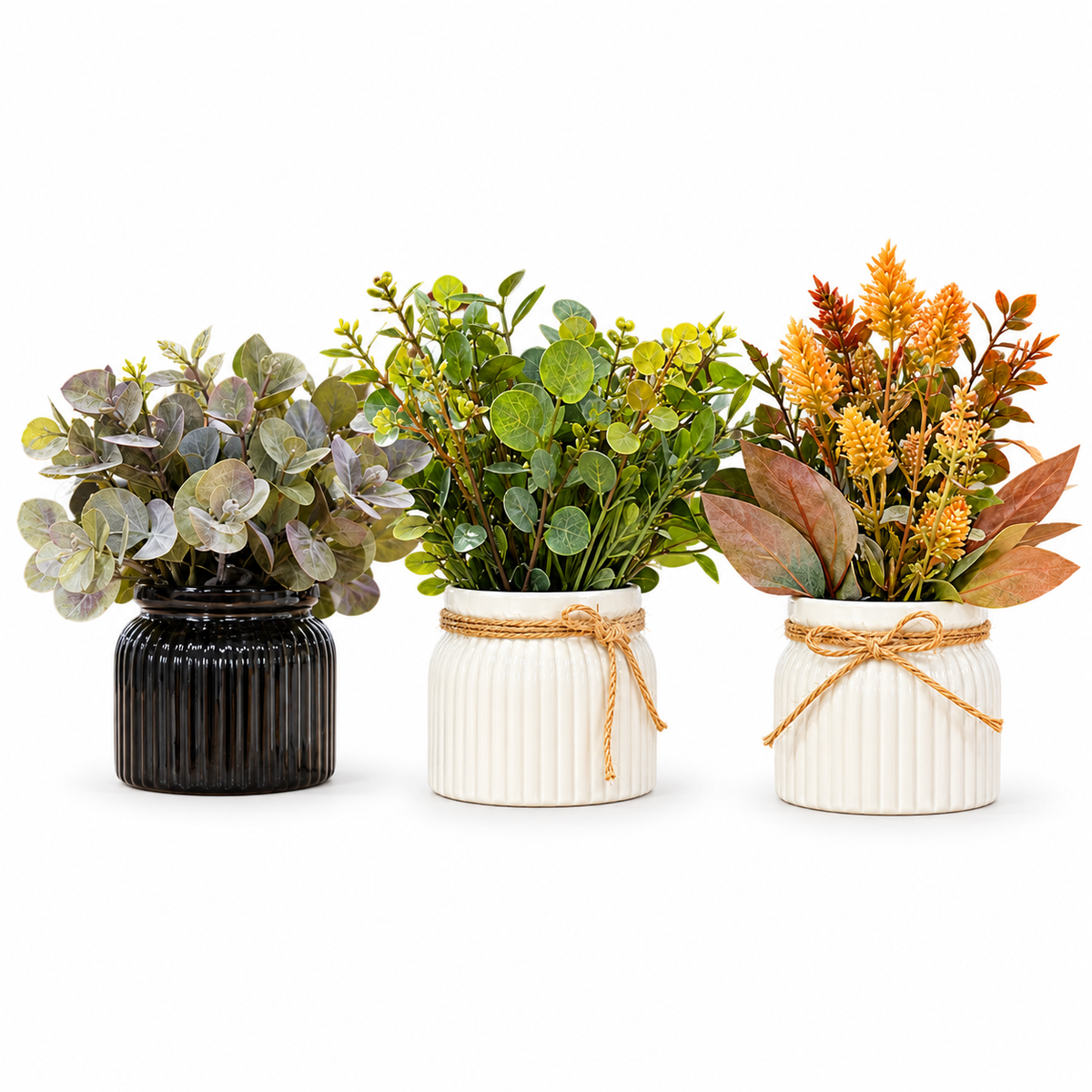 Autumn Botanical Trio