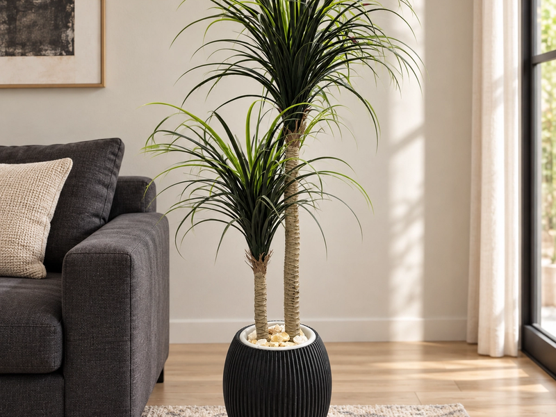 Designed for Modern Interiors