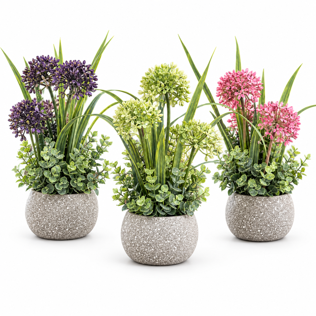 Spring Allium Garden Trio