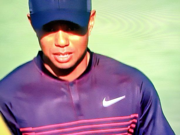 Friday Feels: Torrey